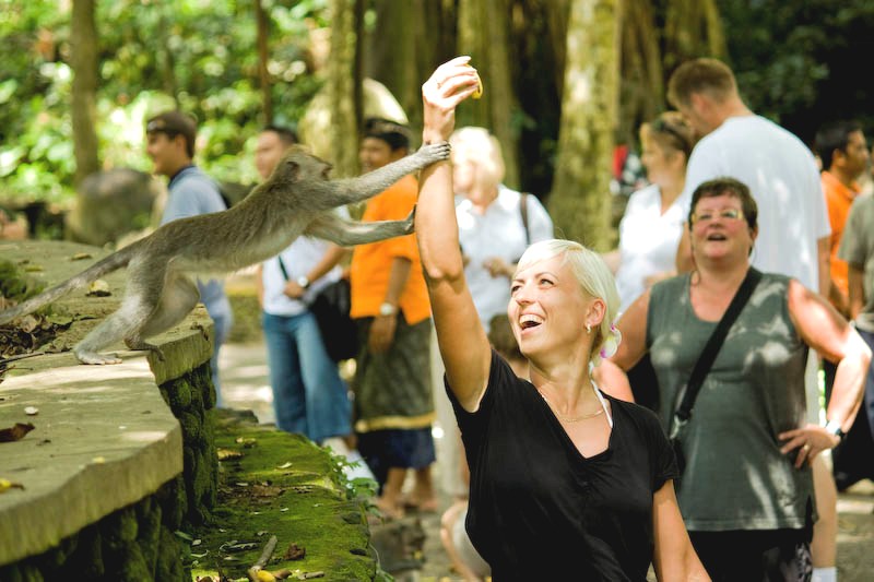 Pengunjung bercanda dengan monyet di Monkey Forest, Ubud. Foto oleh Ary Bestari
